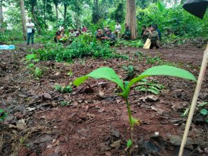 WhatsApp Image 2022-06-14 at 12.58.43