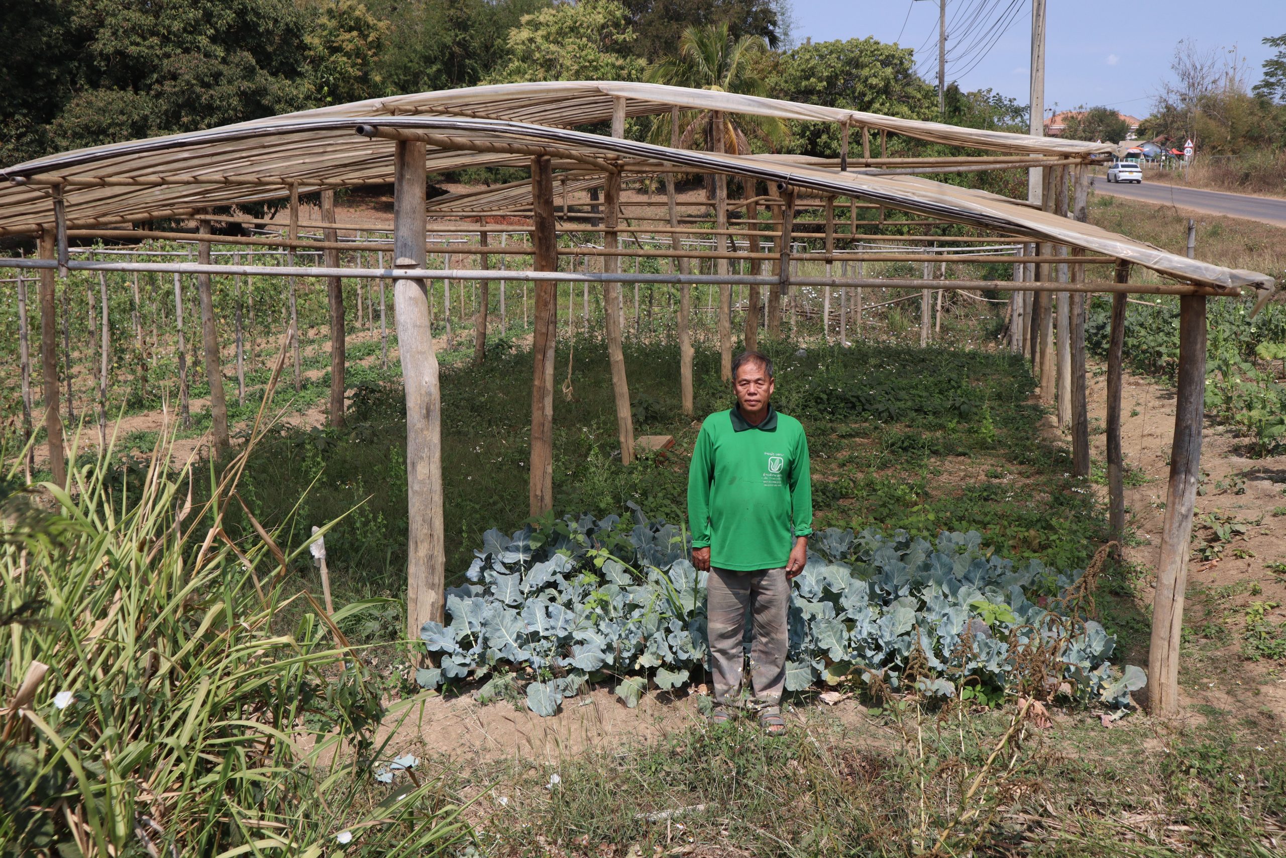 ການລົງຕິດຕາມການຜະລິດພືດຜັກໃນເຮືອນຮົ່ມຂອງຄອບຄົວຕົວແບບຢູ່ບ້ານປົ່ງ ເມືອງຊະນະຄາມ ແຂວງວຽງຈັນ ຂອງໂຄງການພັດທະນາເຕັກນິກການປັບປຸງພັນພືດຜັກຢູ່ໃນອາຊີ Development of Vegetable Breeding Technology in Asia ( AFACI_Breeding )