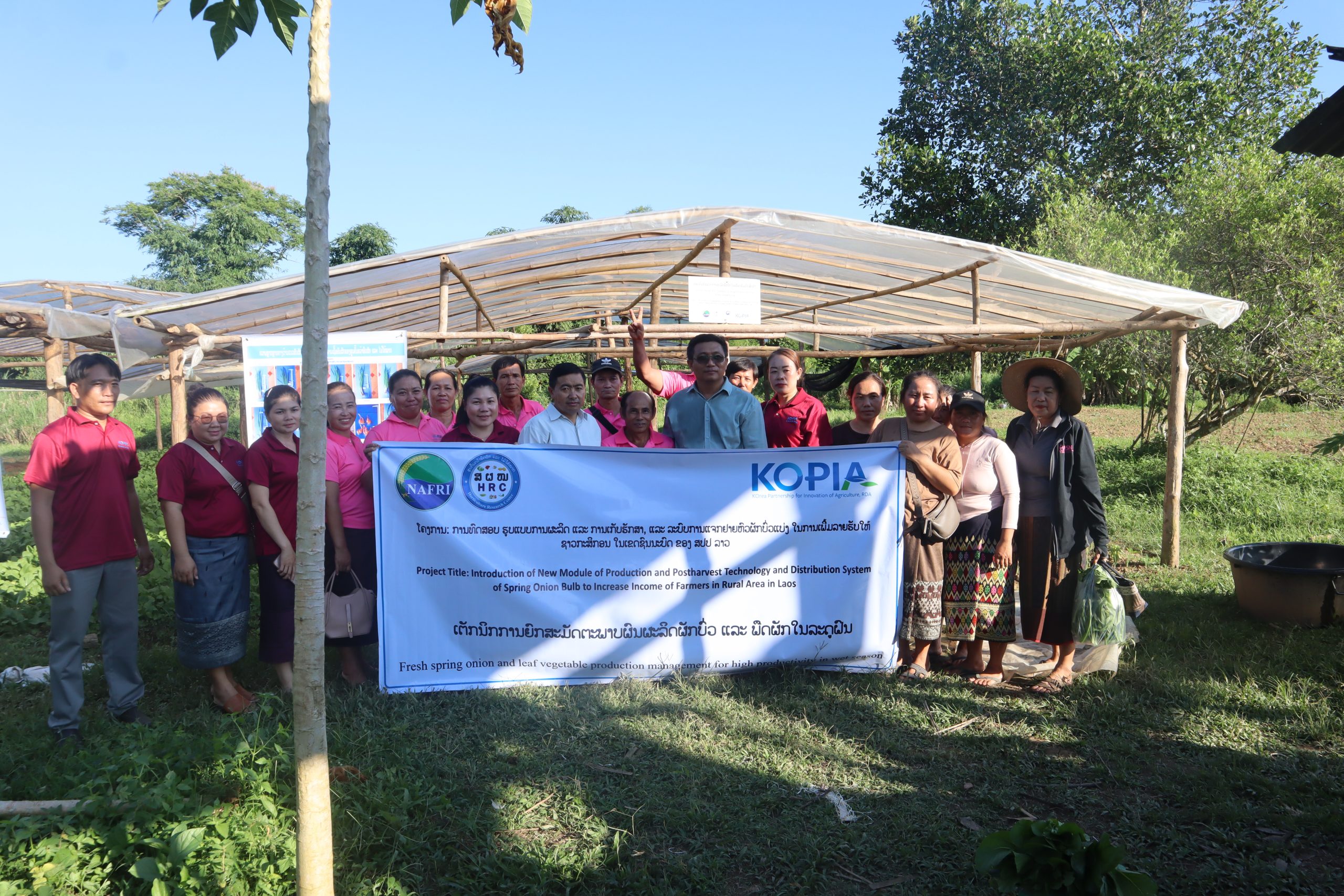 ຝືກອົບຮົມເຕັກນິກການຍົກສະມັດຕະພາບຜົນຜະລິດຜັກບົ່ວແບ່ງ ແລະ ພືດຜັກໃນລະດູຝົນຂອງໂຄງການການທົດສອບຮູບແບບການຜະລິດ ແລະ ການເກັບຮັກສາ, ແລະ ລະບົບການແຈກຢາຍຫົວຜັກບົ່ວແບ່ງໃນການເພີ່ມລາຍຮັບໃຫ້ຊາວກະສິກອນໃນເຂາດຊົນນະບົດ ຂອງ ສປປລາວ(KOPIA)