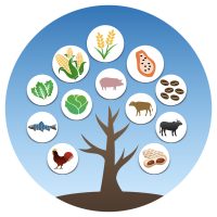 Logo 6 ແຜນງານ.jpg.003